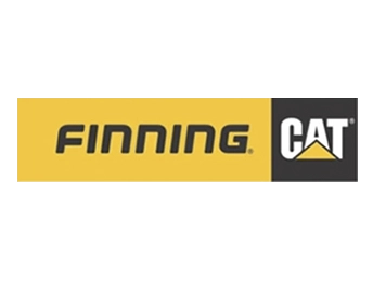 finning-cat.webp